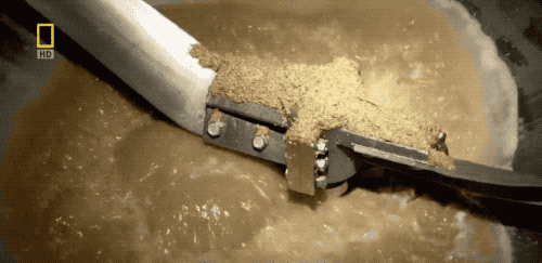 麦芽糖化过程 麦芽糖化过程