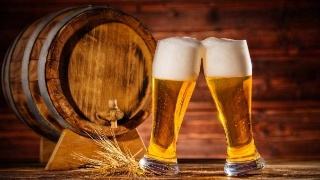 精酿啤酒设备 精酿啤酒设备