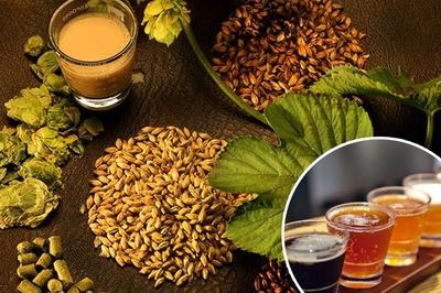 豪鲁精酿啤酒设备 豪鲁精酿啤酒设备